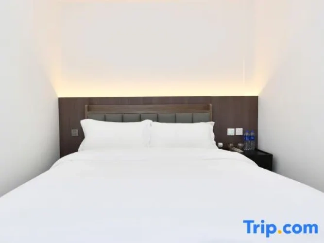 Single Suite
