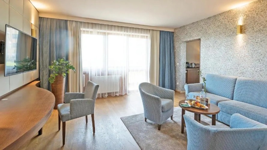 Deluxe Suite with balcony and with view