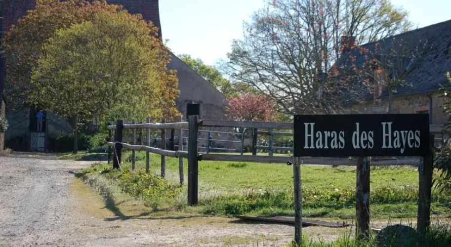Gîte du Haras des Hayes