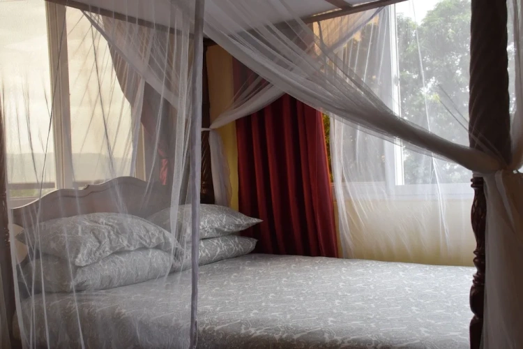 Executive Double room with balcony and with city view