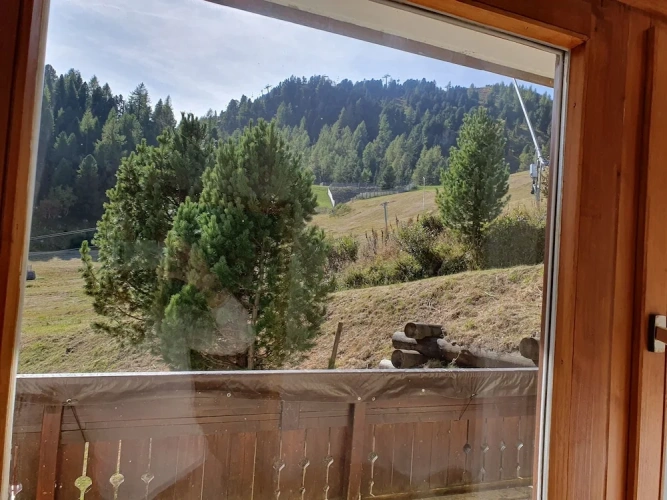 1 Bedroom Standard Family room