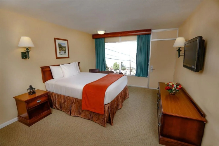 Wild Bear Inn