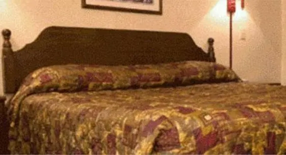 Quadruple Suite