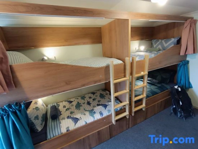 Bed in Dorm