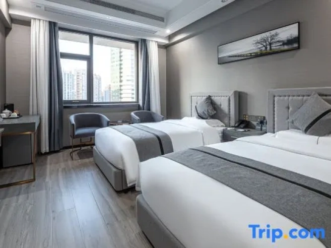 Standard Twin room with city view