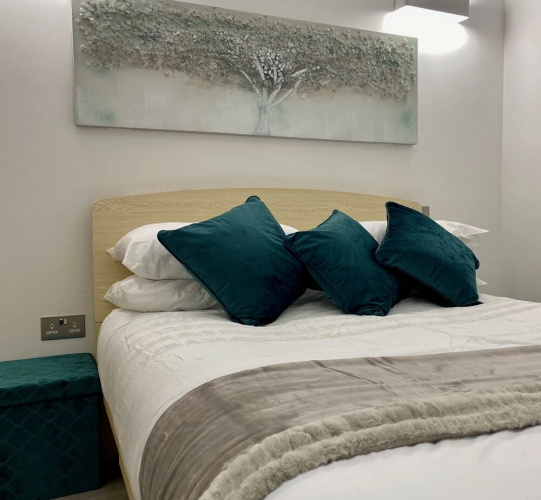 Cosy Exec Apartment