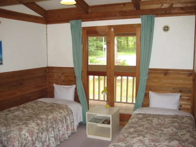 Standard Twin room with balcony and with view