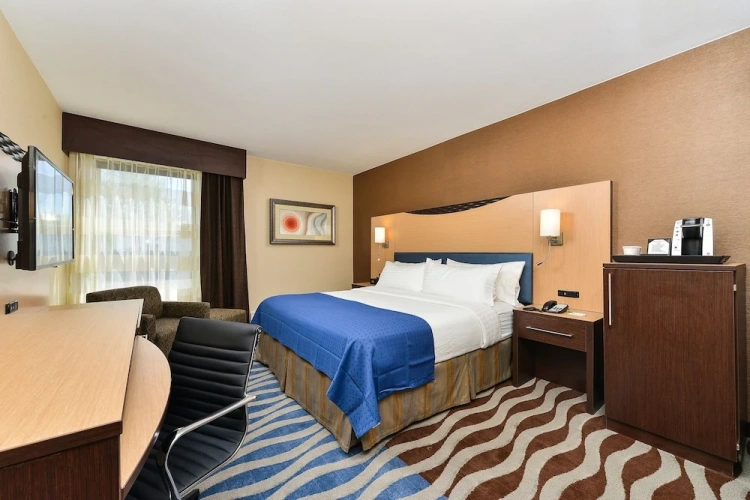 1 Bedroom Suite