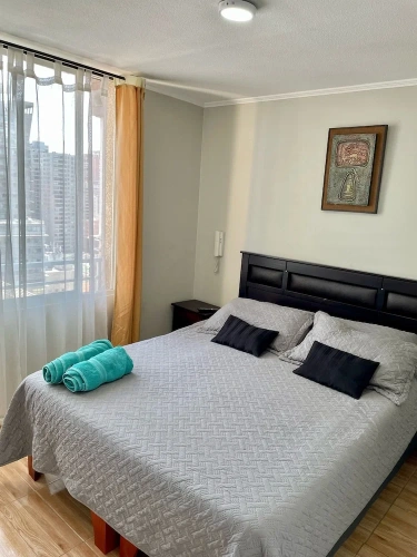 1 Bedroom Standard Apartment