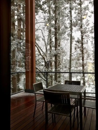 Luxury Chalet