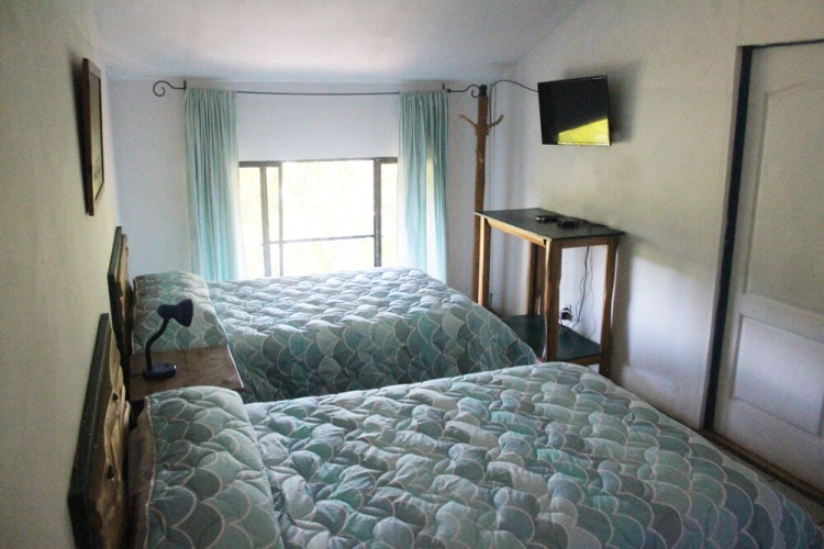 Classic Quadruple room with garden view