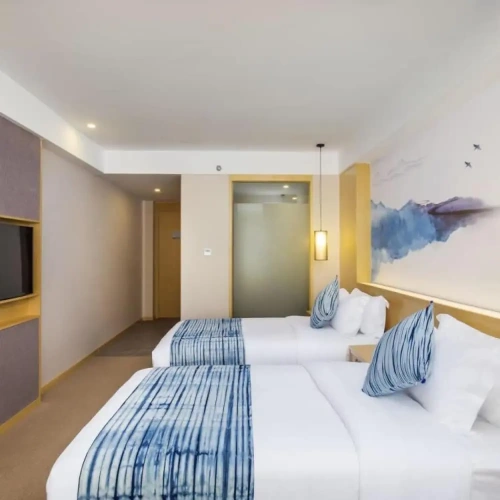 Deluxe Twin room with city view
