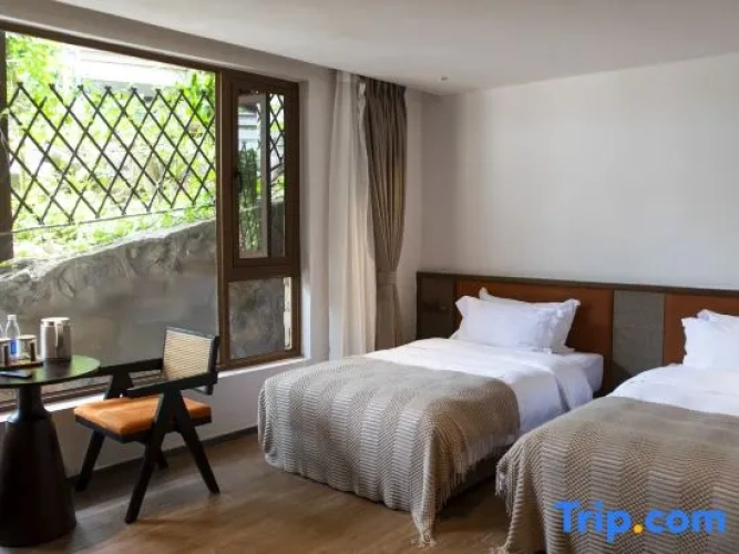 Standard Twin room with view