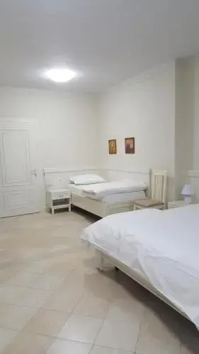 Hotel Suli