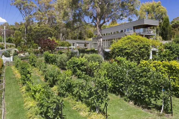 The Vanilla House