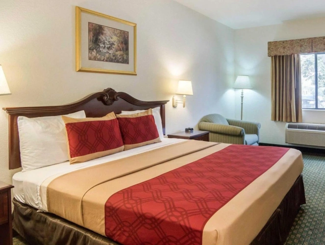 Standard room