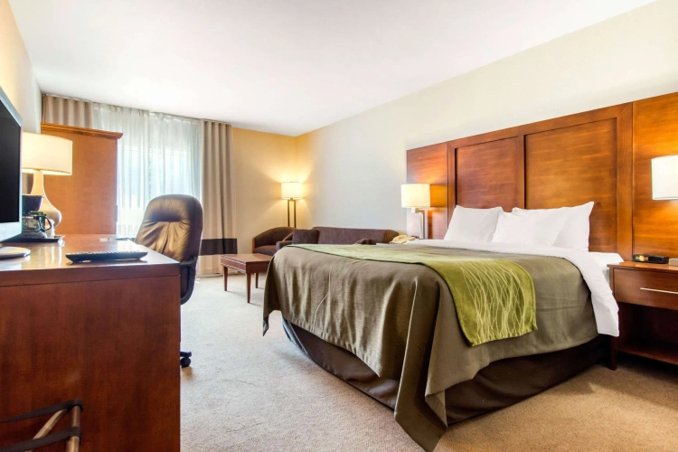 Standard Double room