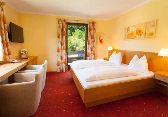 Standard Double room with mountain view