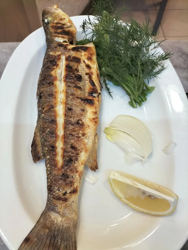 Zakkum Pansiyon