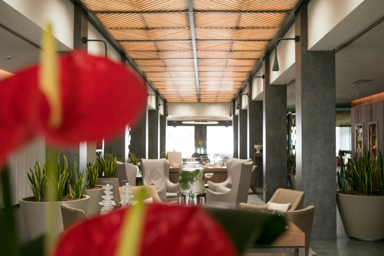 Splendido Bay Luxury Spa Resort photo 36
