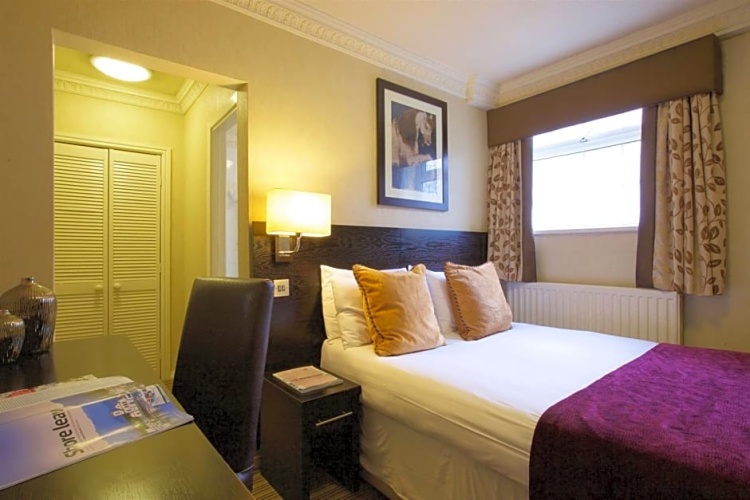 Standard Single room