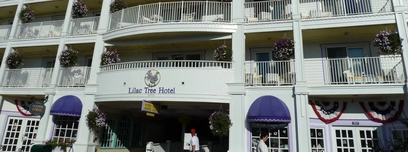 Lilac Tree Suites