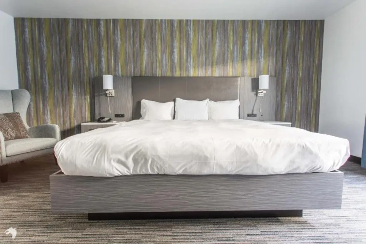 Standard Double Suite