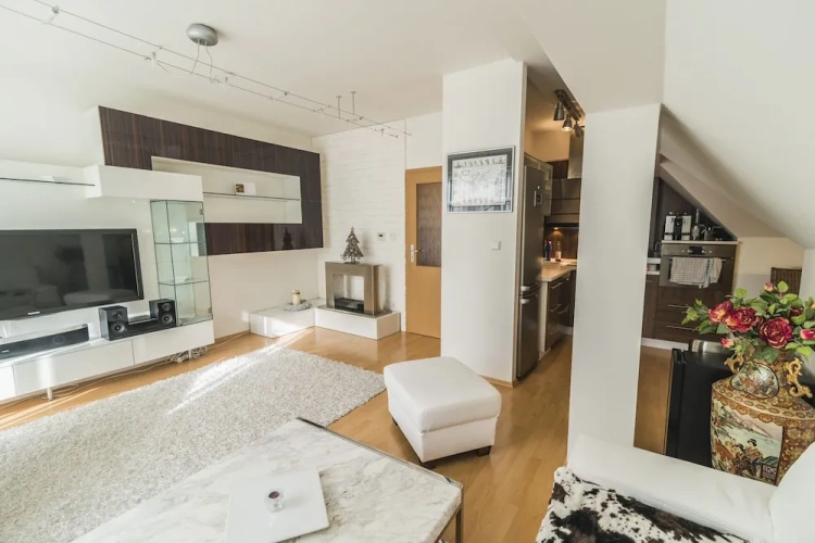 Deluxe Apartment
