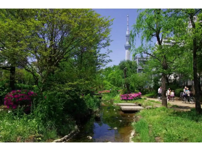 KIKO HOUSE - Vacation STAY 42445v