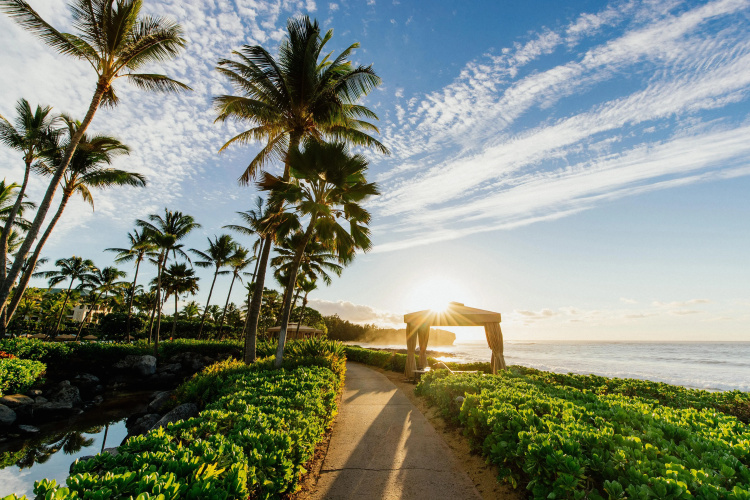 Grand Hyatt Kauai Resort & Spa photo 23