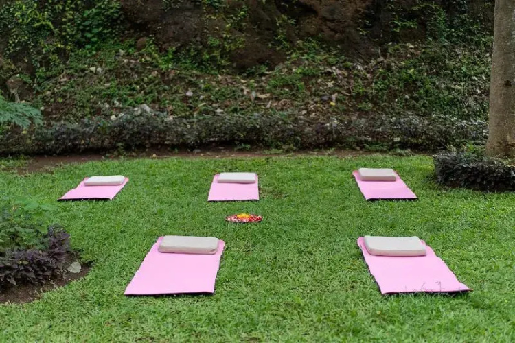 The Manja Retreat Lovina