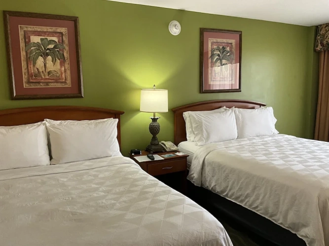 Quadruple Suite with balcony and with city view