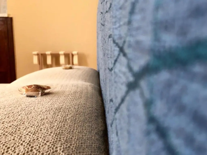 Deluxe Double room with sea view