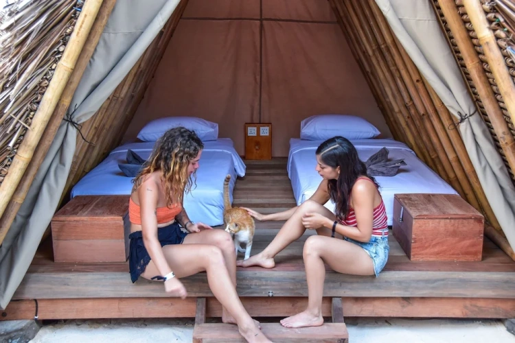 Tent