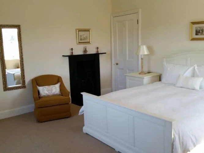 Standard Suite