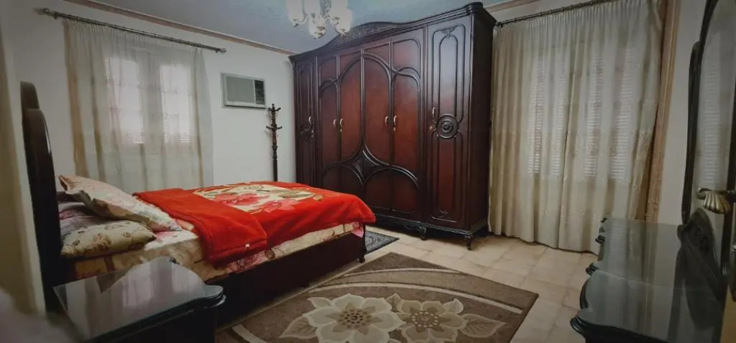 Comfy 3 Bedrooms Apartment in Cairo 87