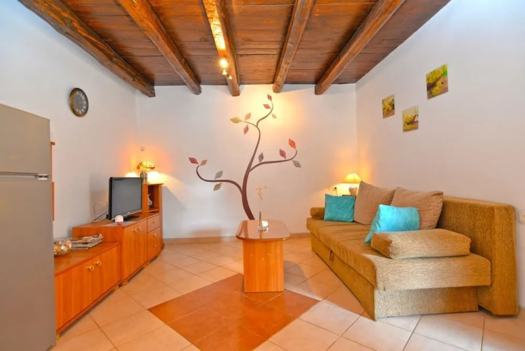1 Bedroom Standard Apartment