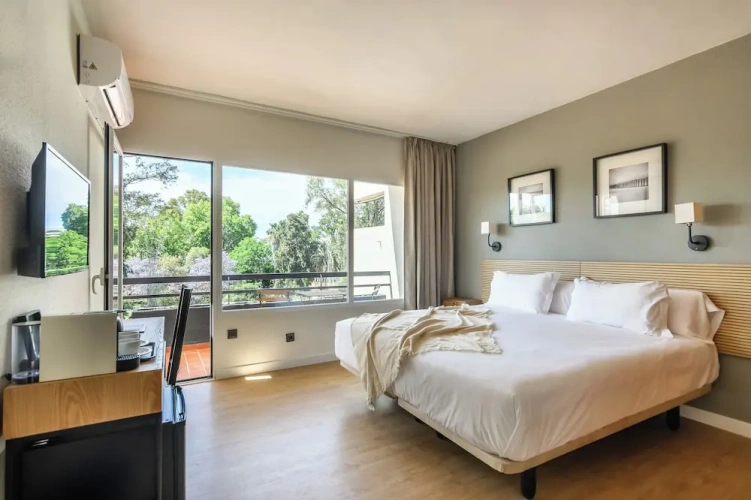 Standard Double room with balcony and with garden view