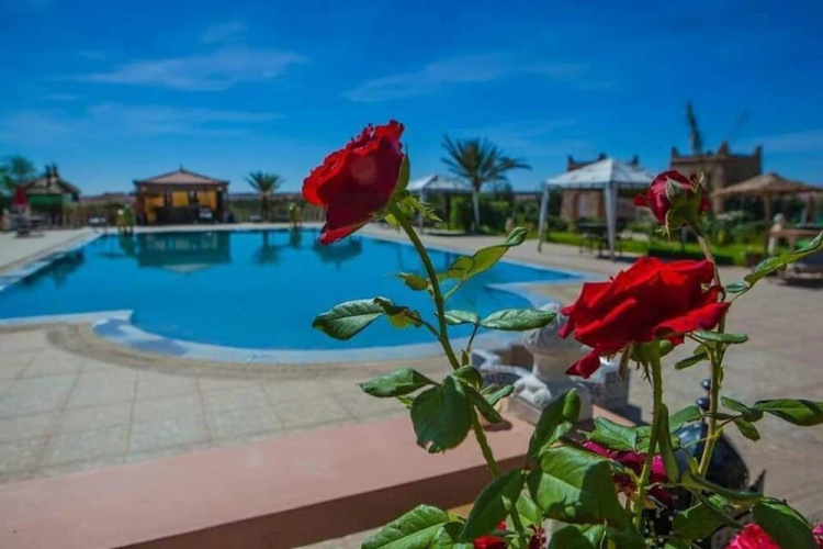 Salma Palms Ferme DHotes