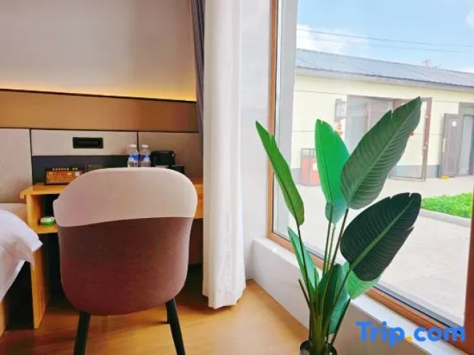 2 Bedrooms Twin Family Suite