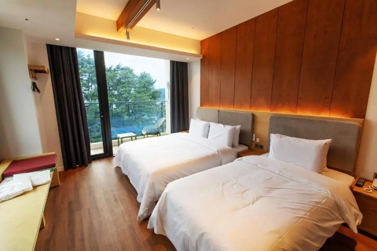 Premium Twin room