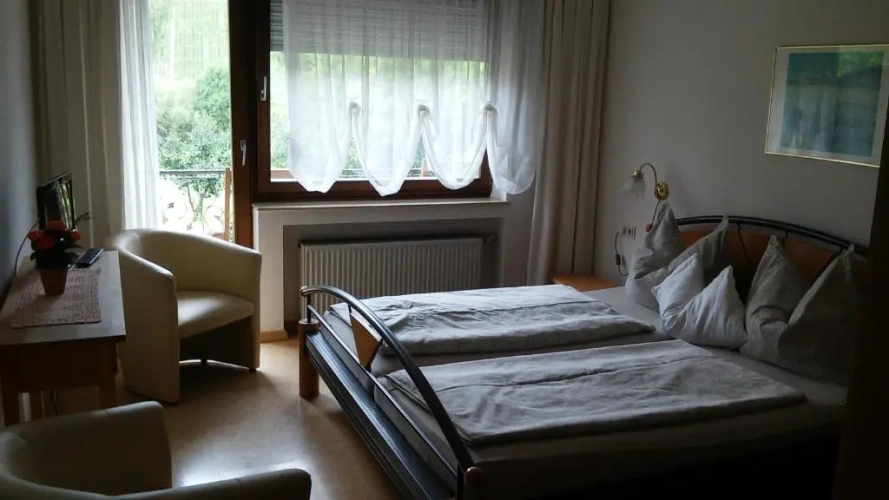 Standard Double room with balcony and with river view