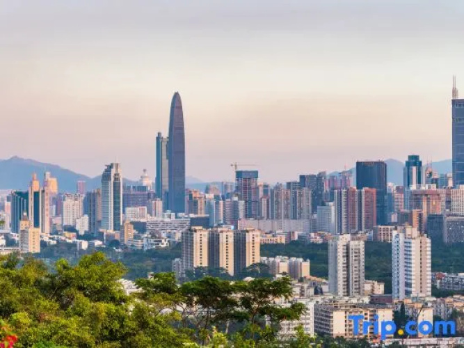 Rabbit Apartment (Shenzhen Huaqiangbei Branch) - Shenzhen