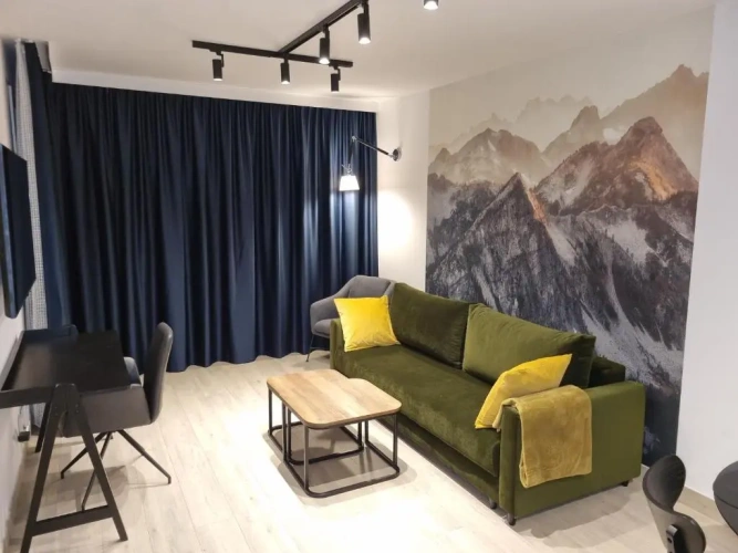 1 Bedroom Apartment