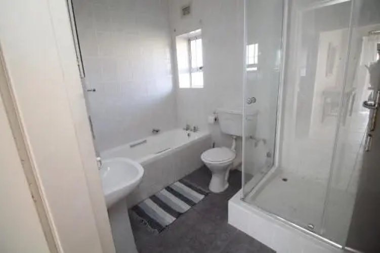 Dolphin View 308
