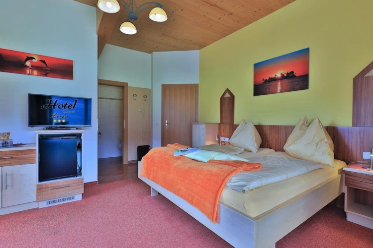 Superior Double room with balcony and with mountain view