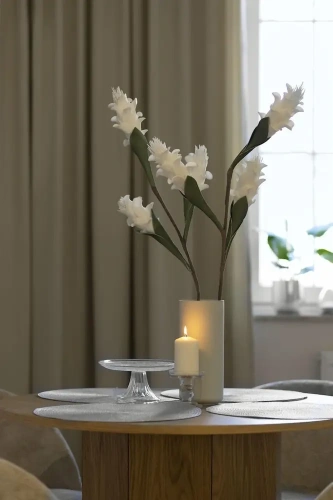 Premium Apartment