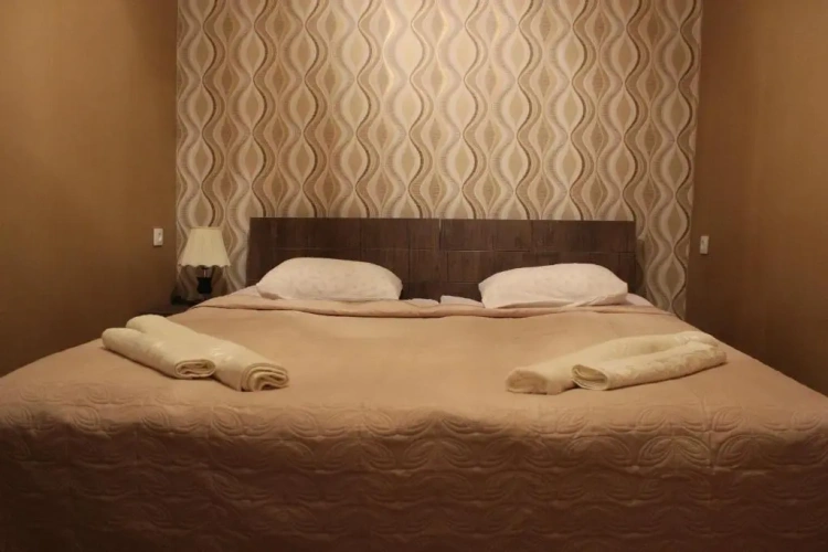 Standard Double room with mountain view