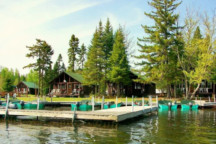 Tall Timber Lodge