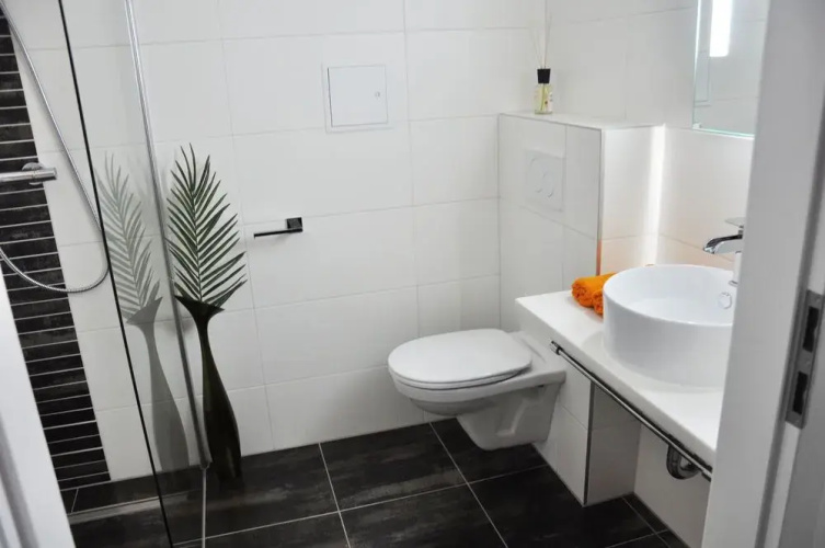 Traditional Apartments Vienna TAV
